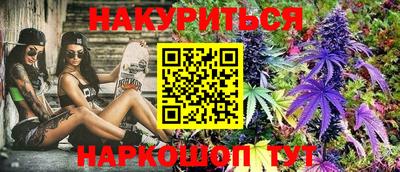 крисы Аша