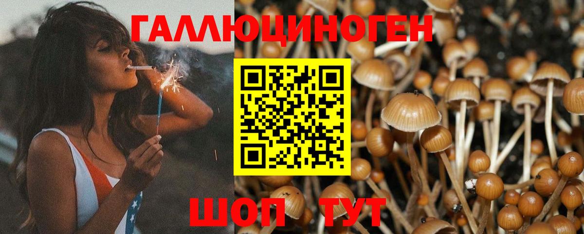 Ликино-Дулёво  Галлюциногенные грибы ЛСД  Вход с VPN 